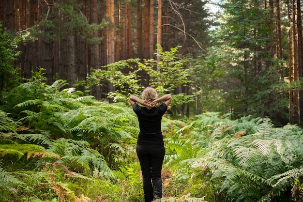 Wann Kam Sons Of The Forest Raus? Das Erscheinungsdatum von Sons of the Forest im Überblick