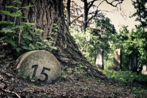 Lost Lands 3 Bonus – Lösung Auf Deutsch – Komplette deutsche Lösung für das Bonuskapitel von Lost Lands 3