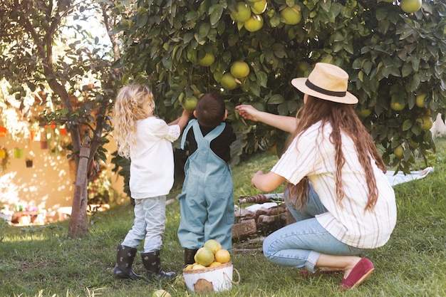 Obstgarten Spiel Ab 2 – Anleitung – Spielregeln und Ablauf des Brettspiels Obstgarten ab 2 Jahren